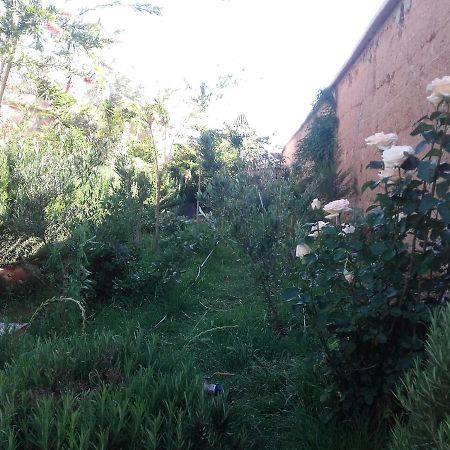 Auberge Toda Ait Igad Exterior photo