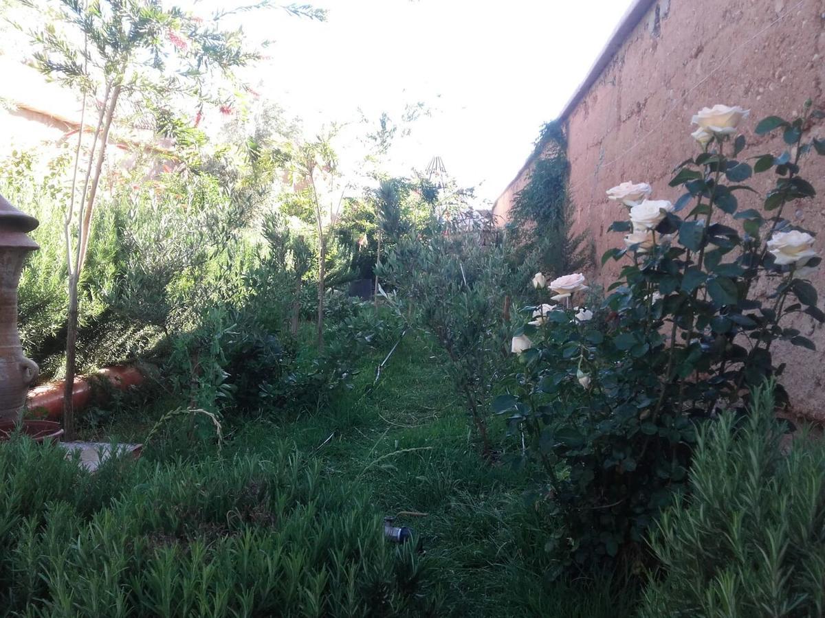 Auberge Toda Ait Igad Exterior photo